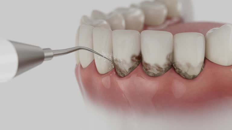 Reliable Dental contractor in Morehead City, NC by Dentist Open Now